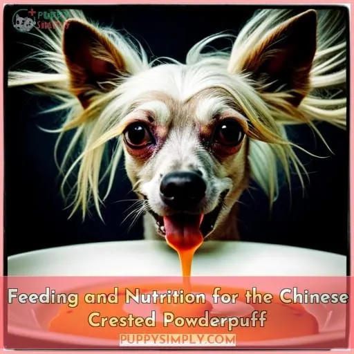 Feeding and Nutrition for the Chinese Crested Powderpuff