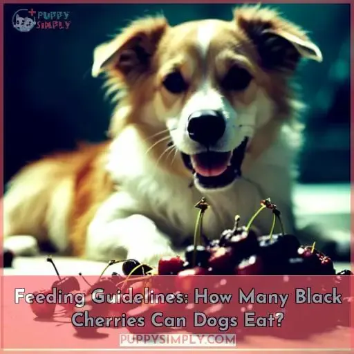 Feeding Guidelines: How Many Black Cherries Can Dogs Eat