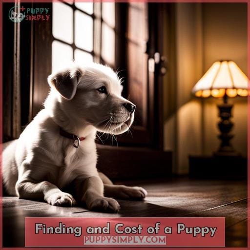 Finding and Cost of a Puppy