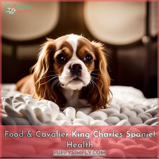 Food & Cavalier King Charles Spaniel Health
