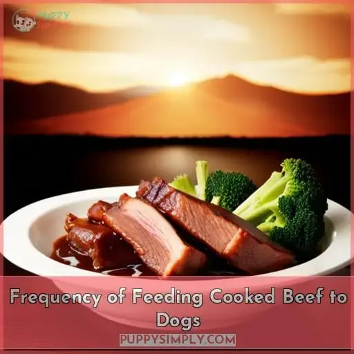 Frequency of Feeding Cooked Beef to Dogs