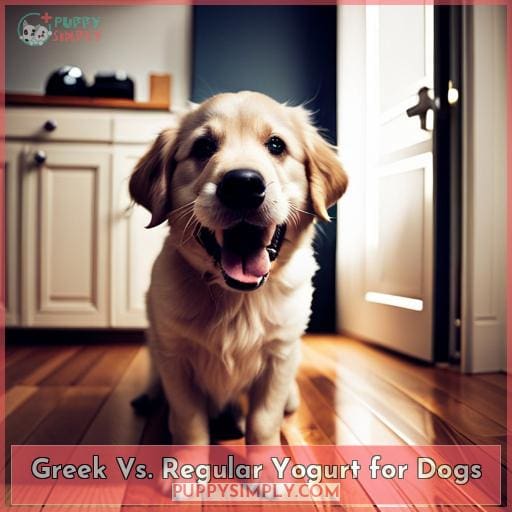 Greek Vs. Regular Yogurt for Dogs