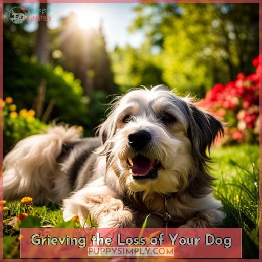 Grieving the Loss of Your Dog
