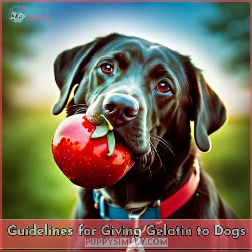 Guidelines for Giving Gelatin to Dogs