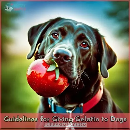 Guidelines for Giving Gelatin to Dogs