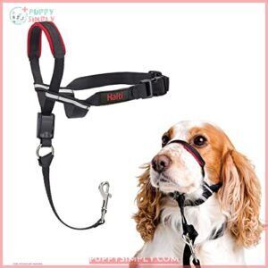 HALTI Optifit Headcollar Size Medium, B00EQ3423I