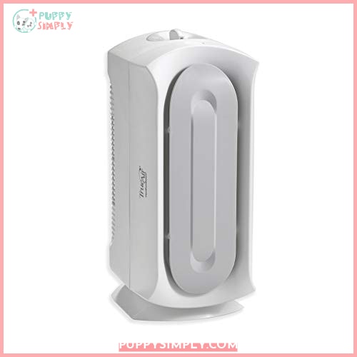 Hamilton Beach TrueAir Air Purifier