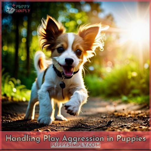 Handling Play Aggression in Puppies