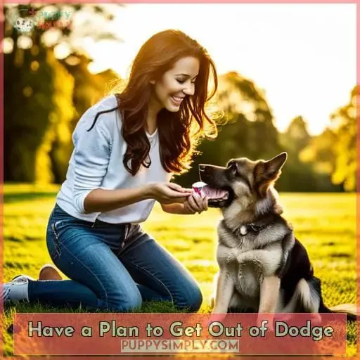 Have a Plan to Get Out of Dodge