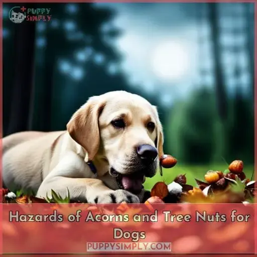 Hazards of Acorns and Tree Nuts for Dogs