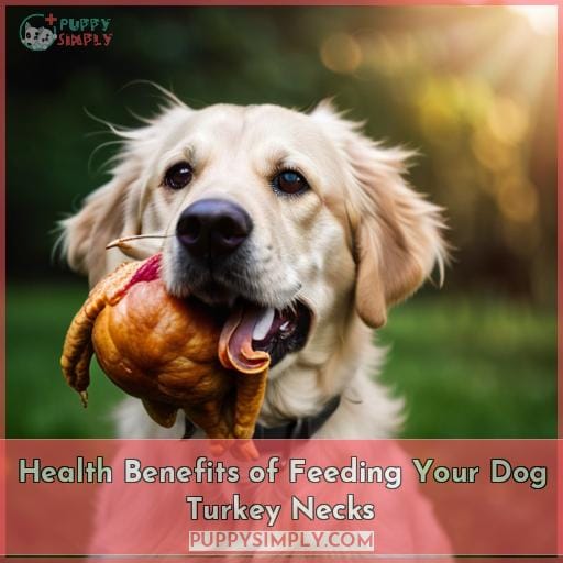 Health Benefits of Feeding Your Dog Turkey Necks