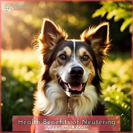 Health Benefits of Neutering
