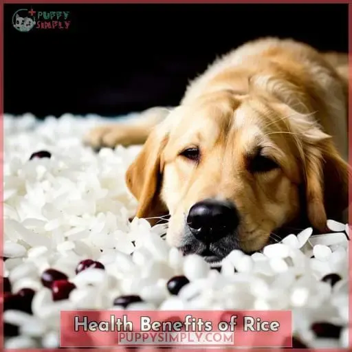 Health Benefits of Rice