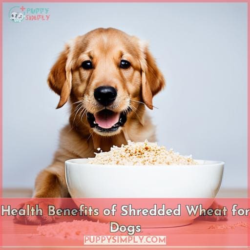 Health Benefits of Shredded Wheat for Dogs