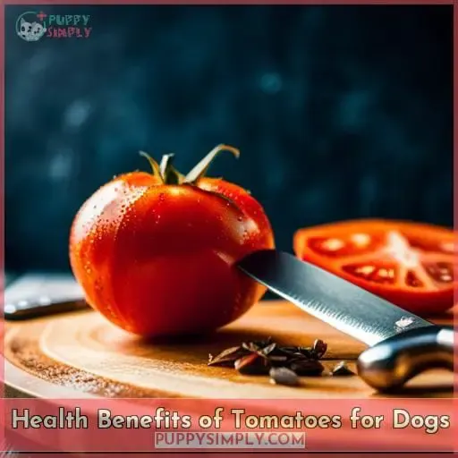 Health Benefits of Tomatoes for Dogs