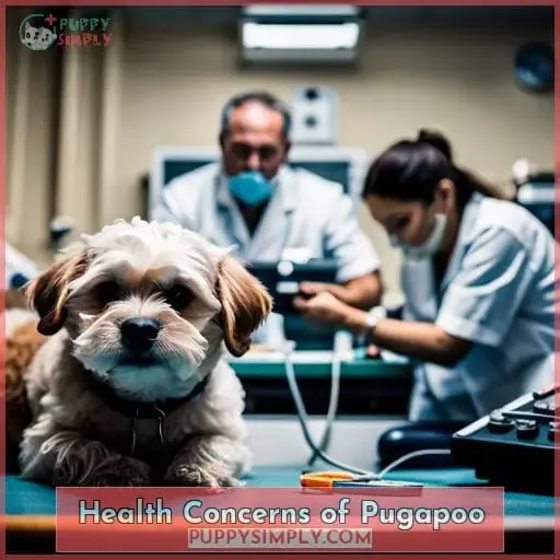 Health Concerns of Pugapoo