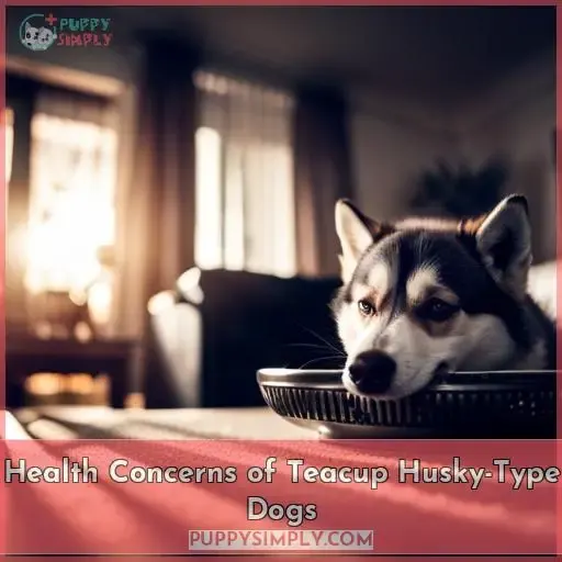 Health Concerns of Teacup Husky-Type Dogs