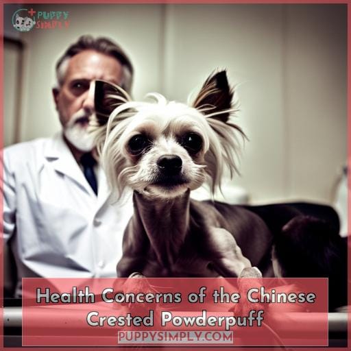 Health Concerns of the Chinese Crested Powderpuff