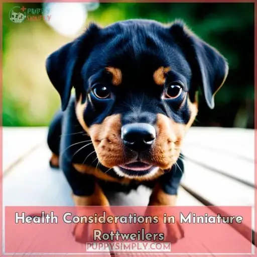 Health Considerations in Miniature Rottweilers