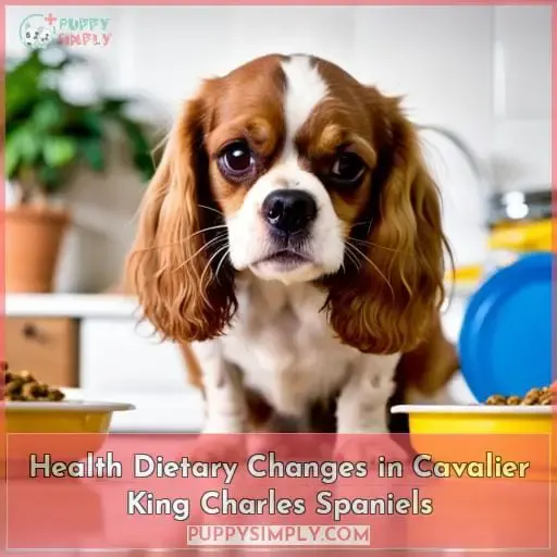 Health Dietary Changes in Cavalier King Charles Spaniels