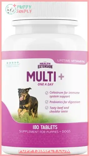 Health Extension Lifetime Vitamins Chewable