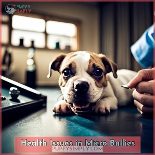 Health Issues in Micro Bullies
