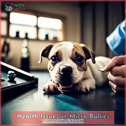 Health Issues in Micro Bullies