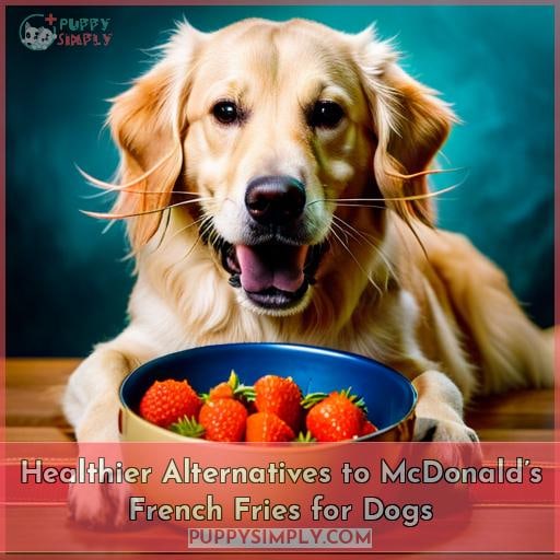 Healthier Alternatives to McDonald’s French Fries for Dogs