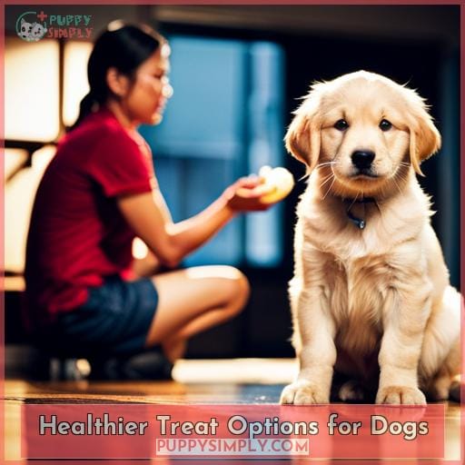 Healthier Treat Options for Dogs