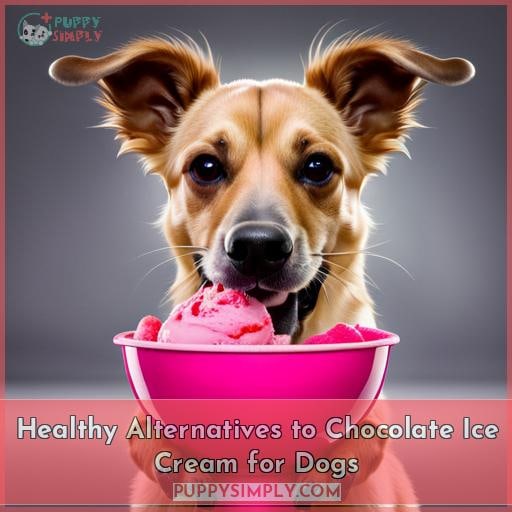 Healthy Alternatives to Chocolate Ice Cream for Dogs
