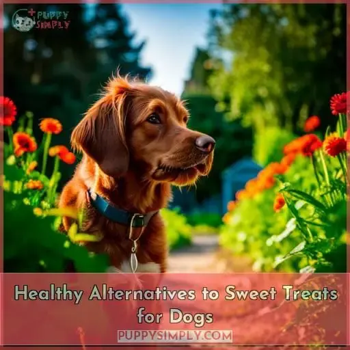 Healthy Alternatives to Sweet Treats for Dogs