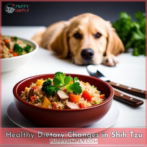 Healthy Dietary Changes in Shih Tzu