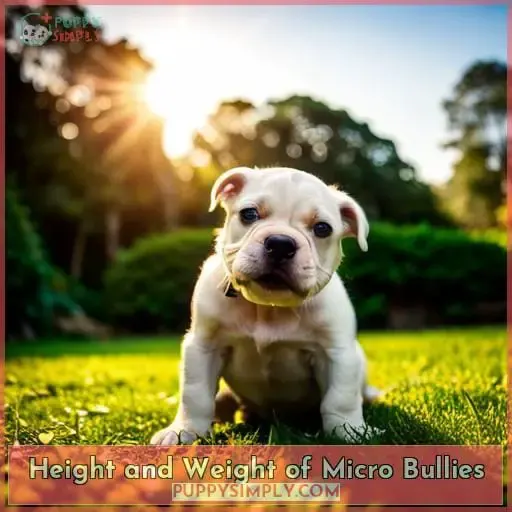 Height and Weight of Micro Bullies