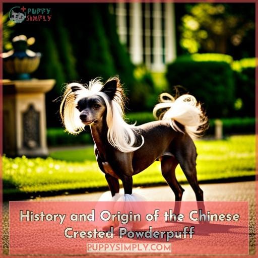 History and Origin of the Chinese Crested Powderpuff
