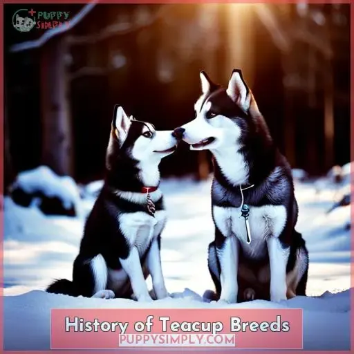 History of Teacup Breeds