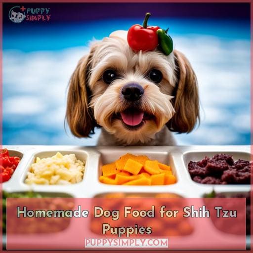 Homemade Dog Food for Shih Tzu Puppies