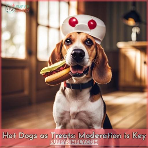 Hot Dogs as Treats: Moderation is Key