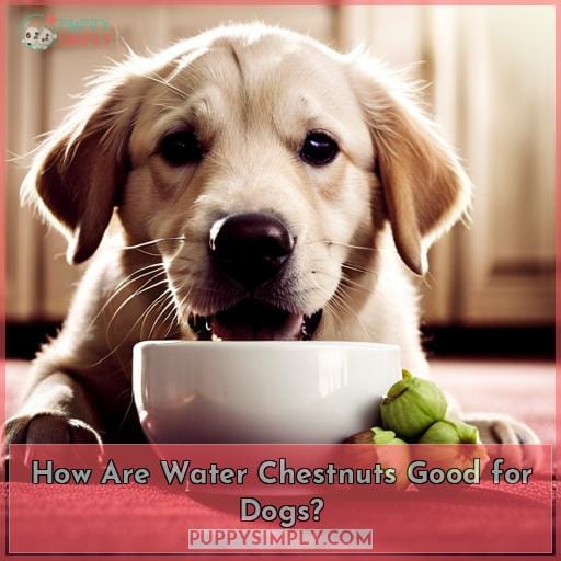 How Are Water Chestnuts Good for Dogs