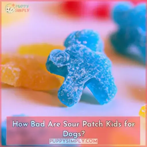 How Bad Are Sour Patch Kids for Dogs
