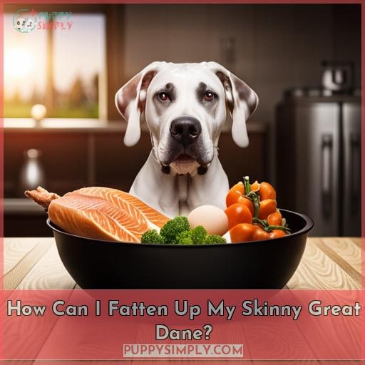 How Can I Fatten Up My Skinny Great Dane