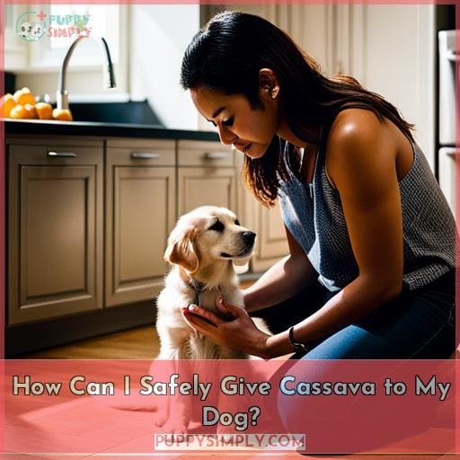 How Can I Safely Give Cassava to My Dog