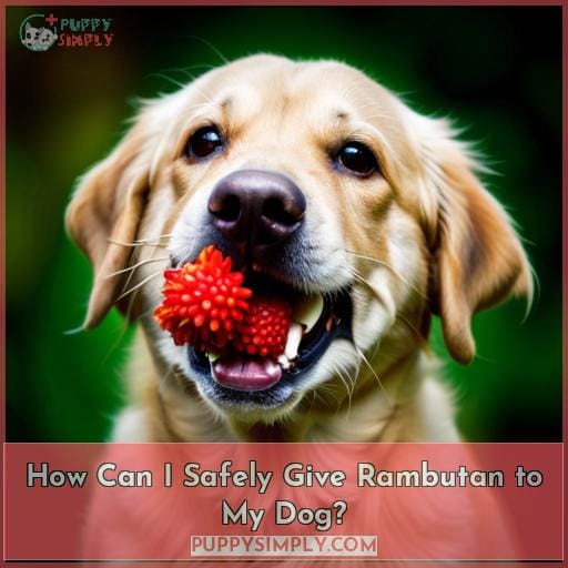 How Can I Safely Give Rambutan to My Dog