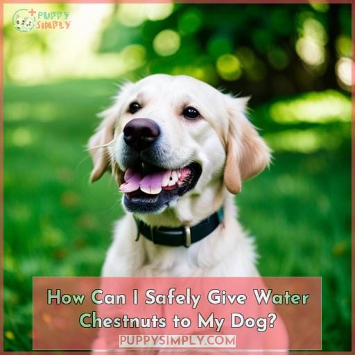 How Can I Safely Give Water Chestnuts to My Dog