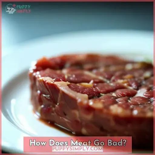 How Does Meat Go Bad