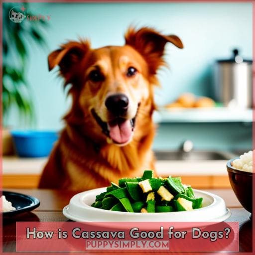 How is Cassava Good for Dogs