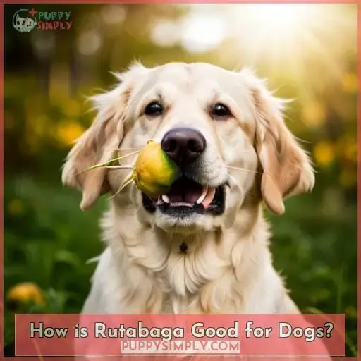 How is Rutabaga Good for Dogs