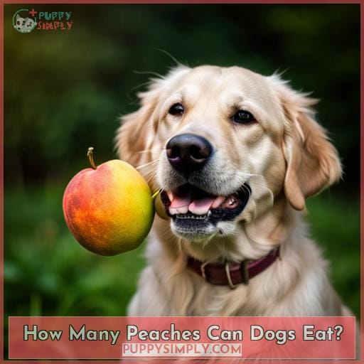 How Many Peaches Can Dogs Eat