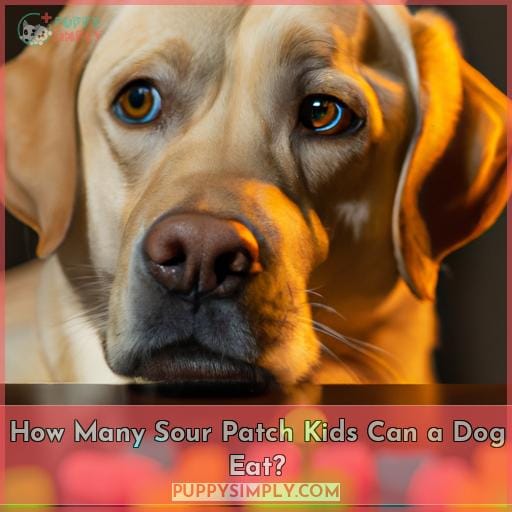 How Many Sour Patch Kids Can a Dog Eat