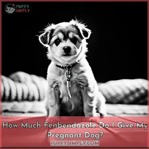 How Much Fenbendazole Do I Give My Pregnant Dog