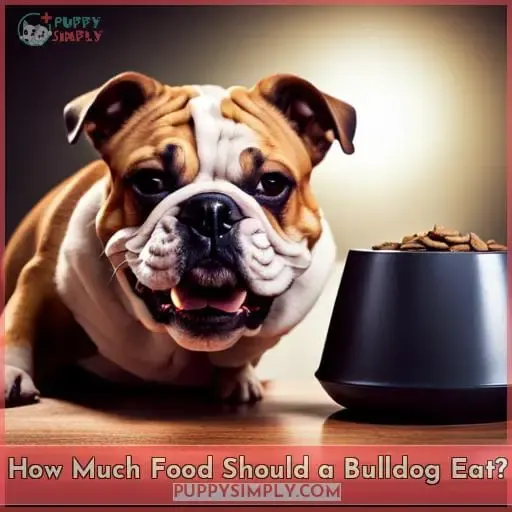 How Much Food Should a Bulldog Eat